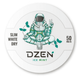 Купить DZEN ICE MINT